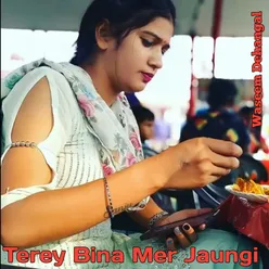 Terey Bina Mer Jaungi